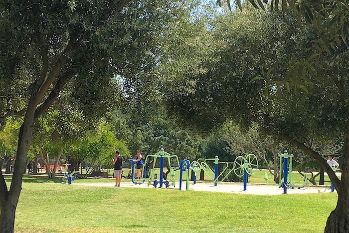 Outdoor Sportgeräte z.B. in den Goetheanlagen