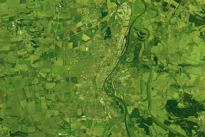 Bäume für die Große Diesdorfer